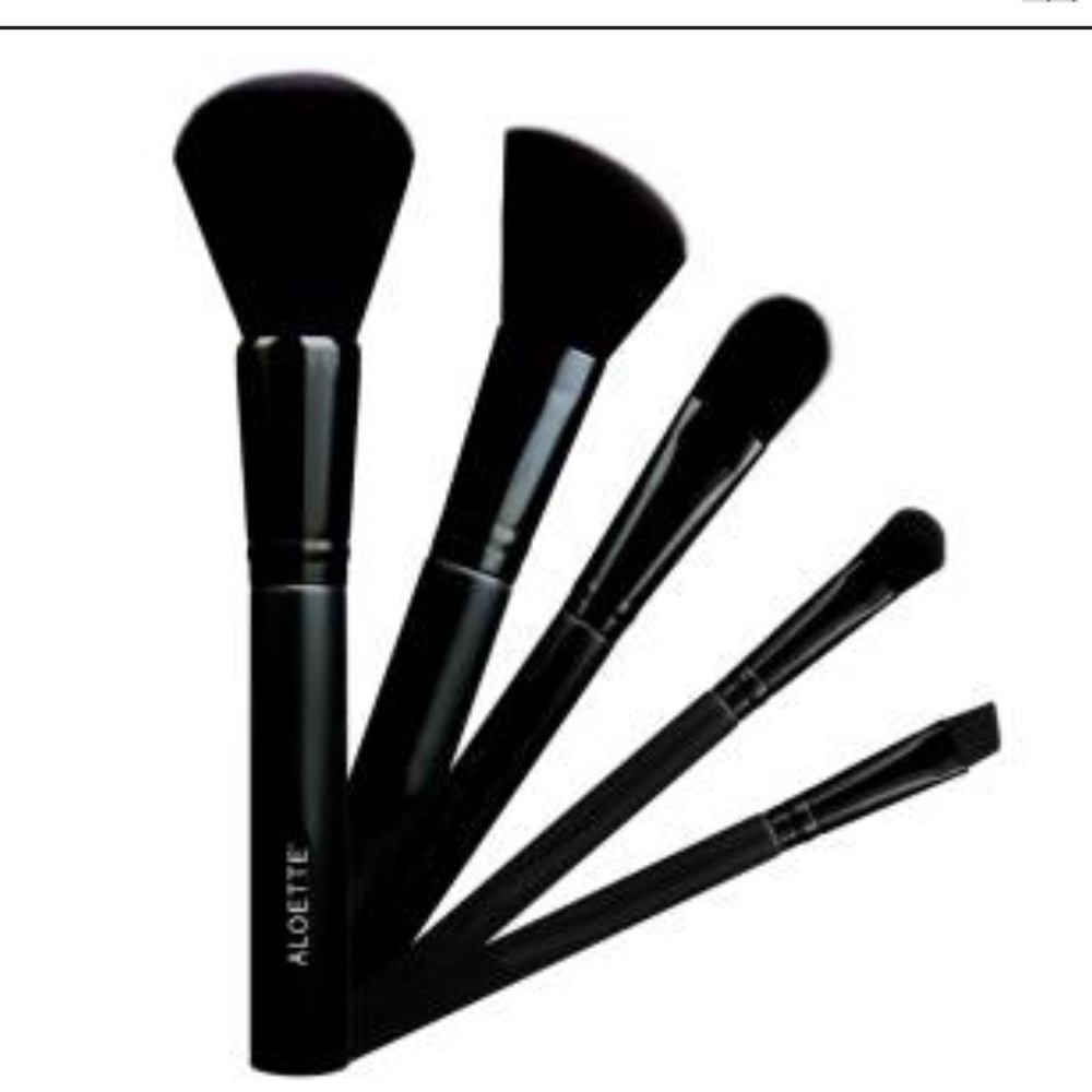 Aloette Beauty PROFESSIONAL 5-PIECE BRUSH COLLECTION NIB
